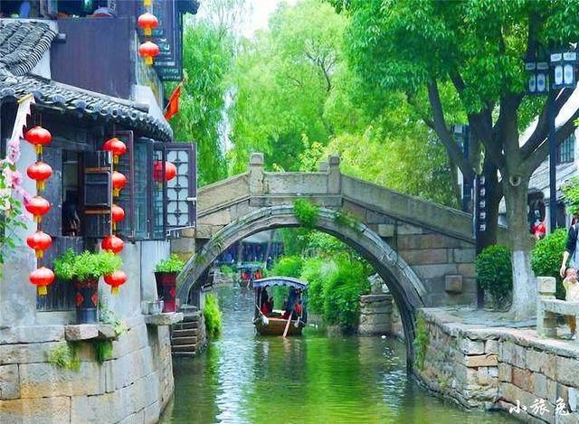 植物最不喜欢什么光游戏画面